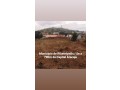 apareceu-o-que-estava-esperando-terreno-small-3